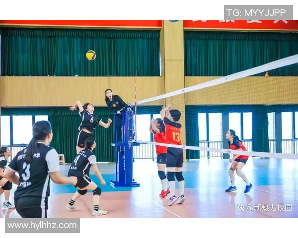 南京排球队在全国排球灵活性排行榜中荣获第六名展现出色竞技实力