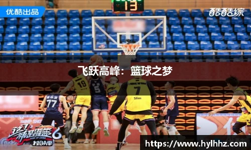 飞跃高峰：篮球之梦